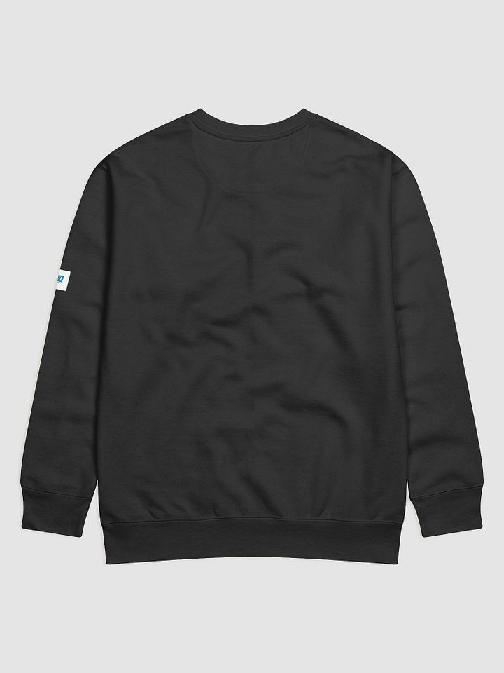 Feathered AD Logo Cotton Sweatshirt product image (2)