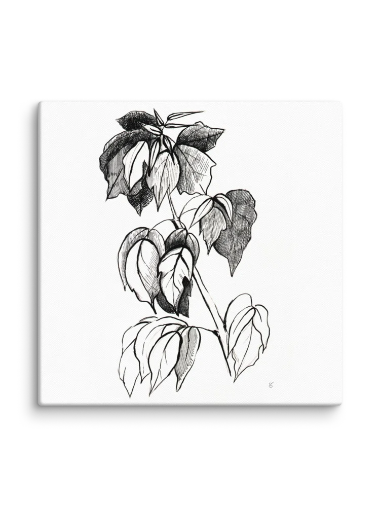 Botanical Line Art Canvas Print - Stylish Graphical Twig product image (2)