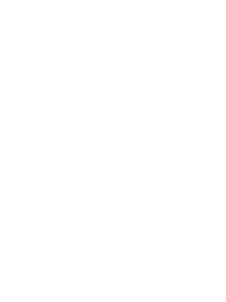 bacons_ttv