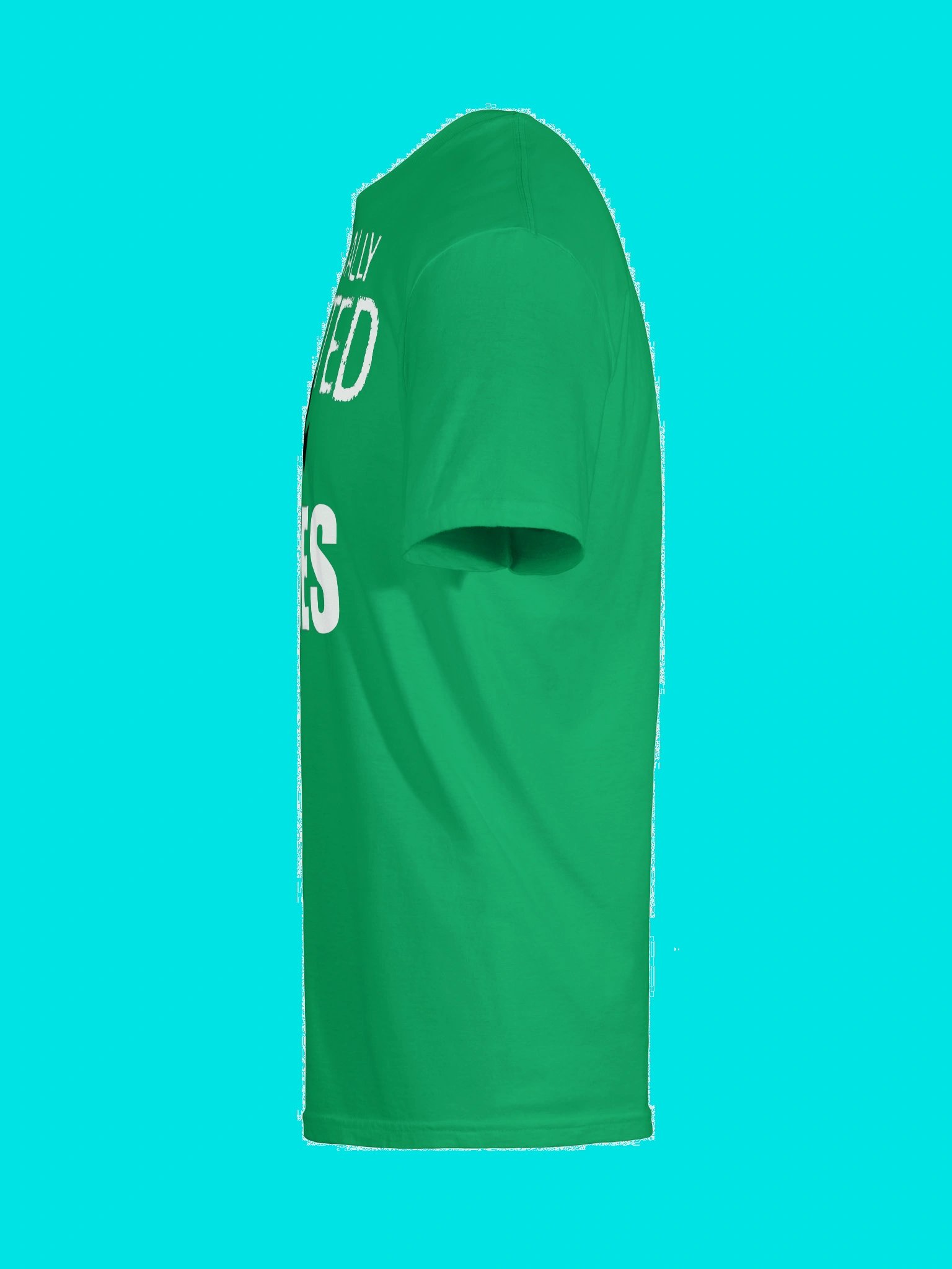 Professionally Addicted to Movies TRUTHER EDITION - the official Record 37 shirt, enhanced product image (6)