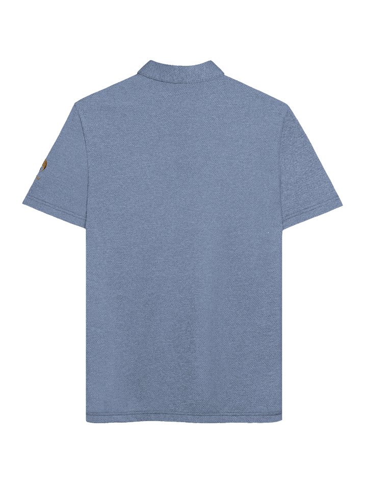 🌟 GOLD DRAGON “SEEK THE STAR” // ADIDAS POLO DROP product image (7)