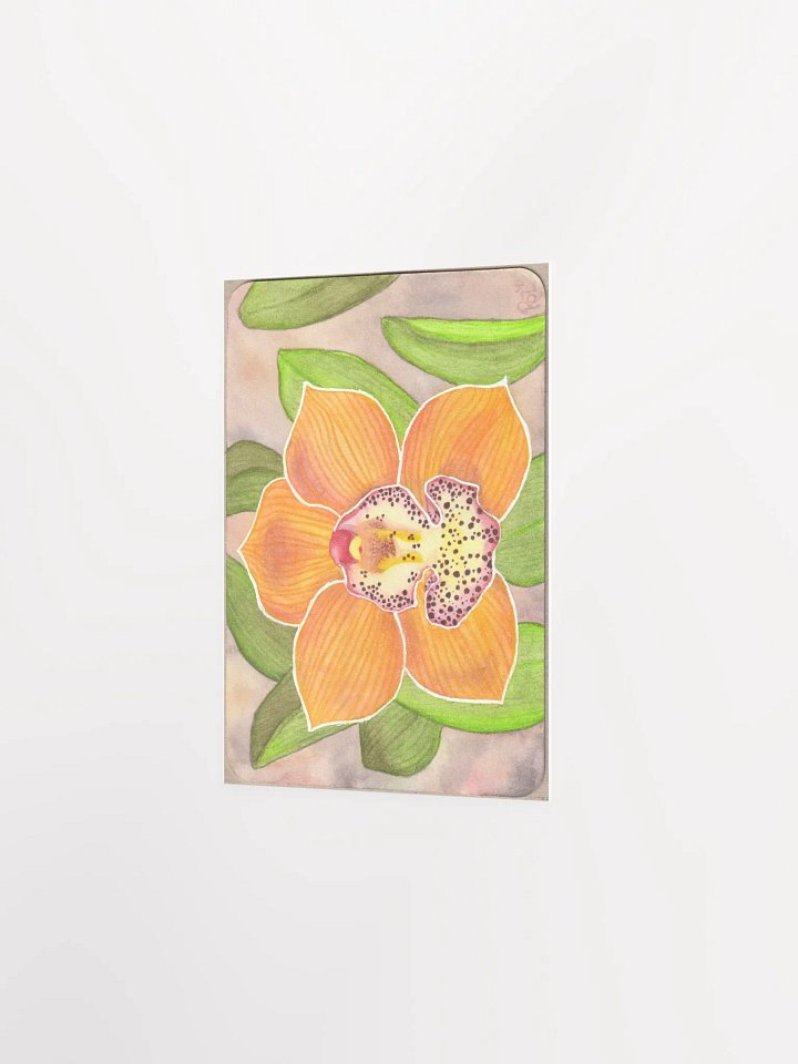 Orchid, Barrita Eminence product image (2)