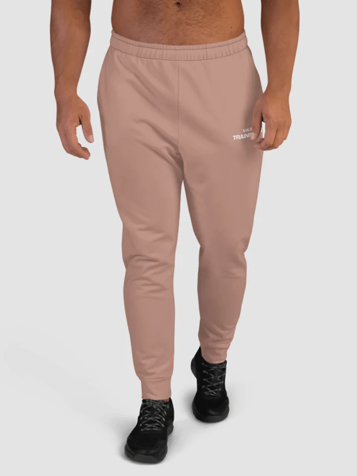 Training Club Joggers - Autumn Blush product image (2)