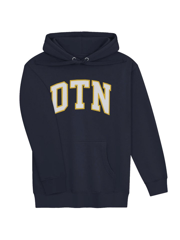 The Official DTN Hoodie product image (2)