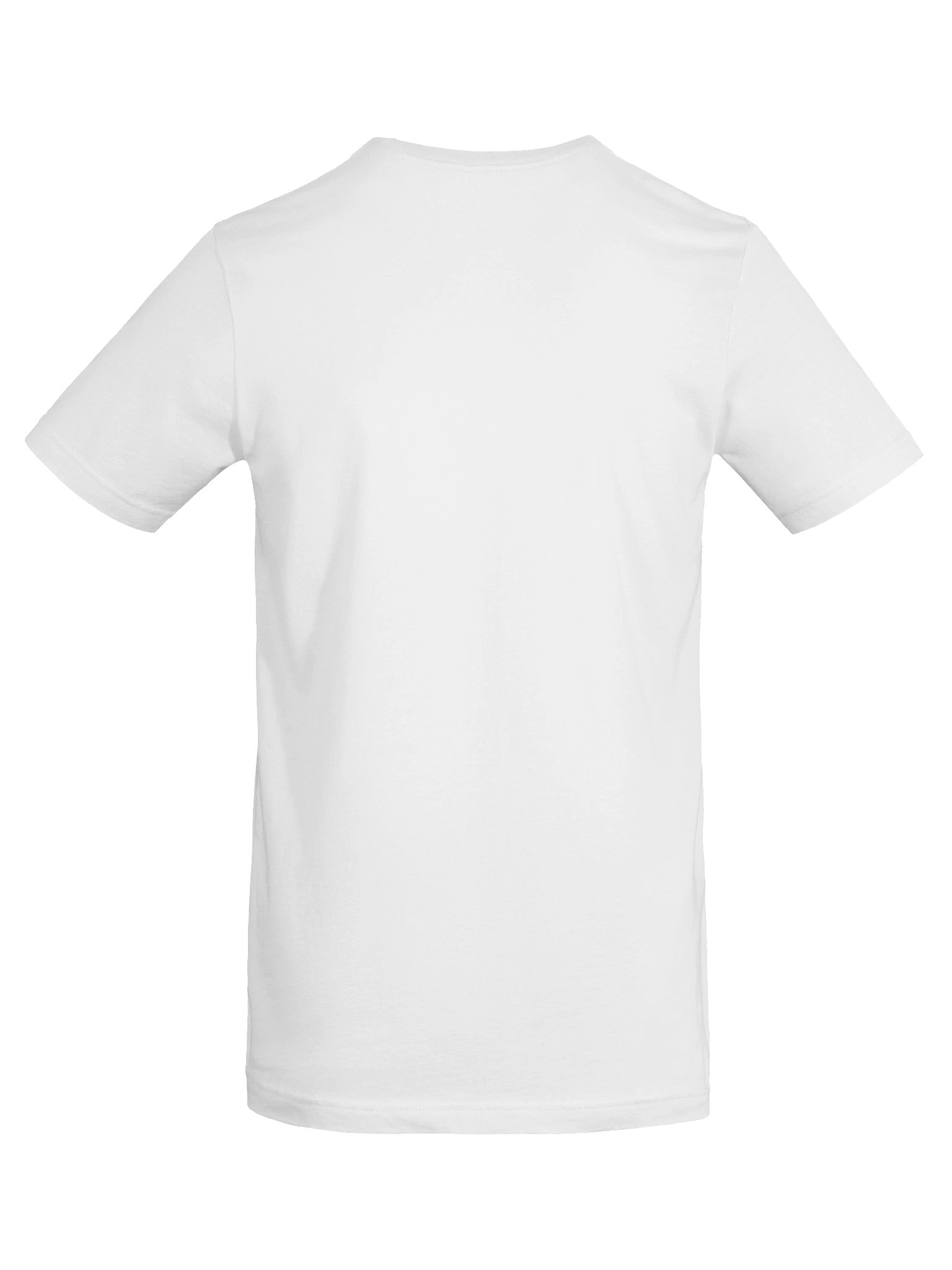 MTS Tee-Shirt (Blue Logo) product image (24)