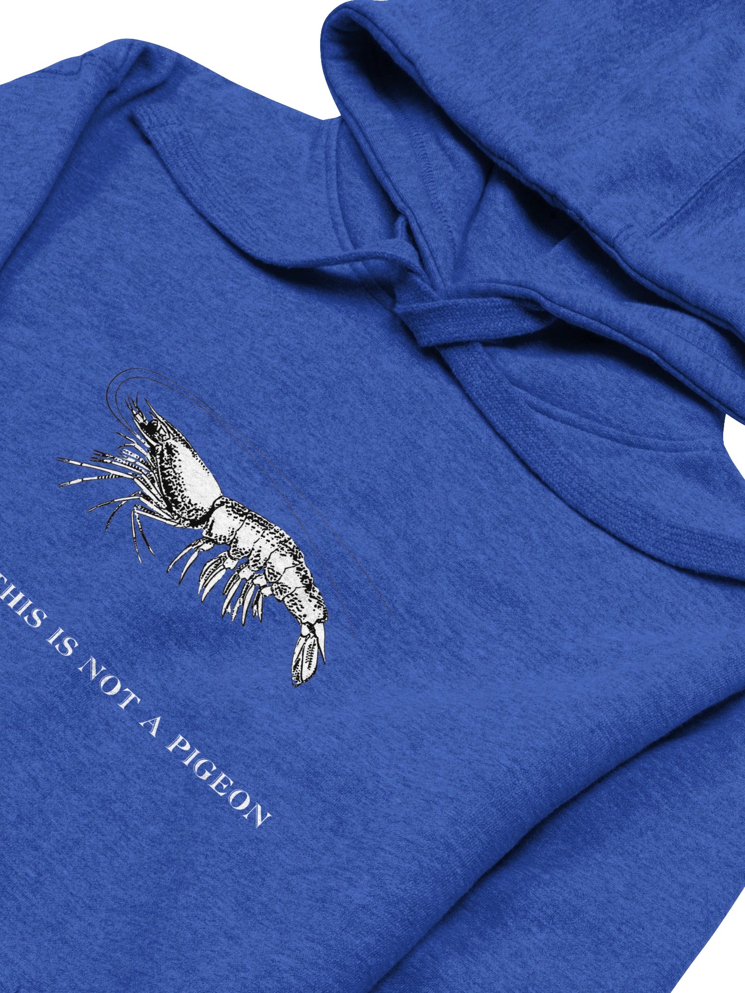 Not A Pigeon- Prawn Hoodie product image (27)