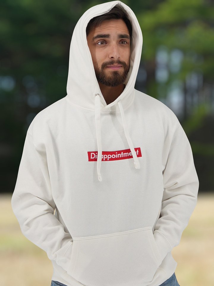 Disappointment | Embroidered Hoodie product image (2)