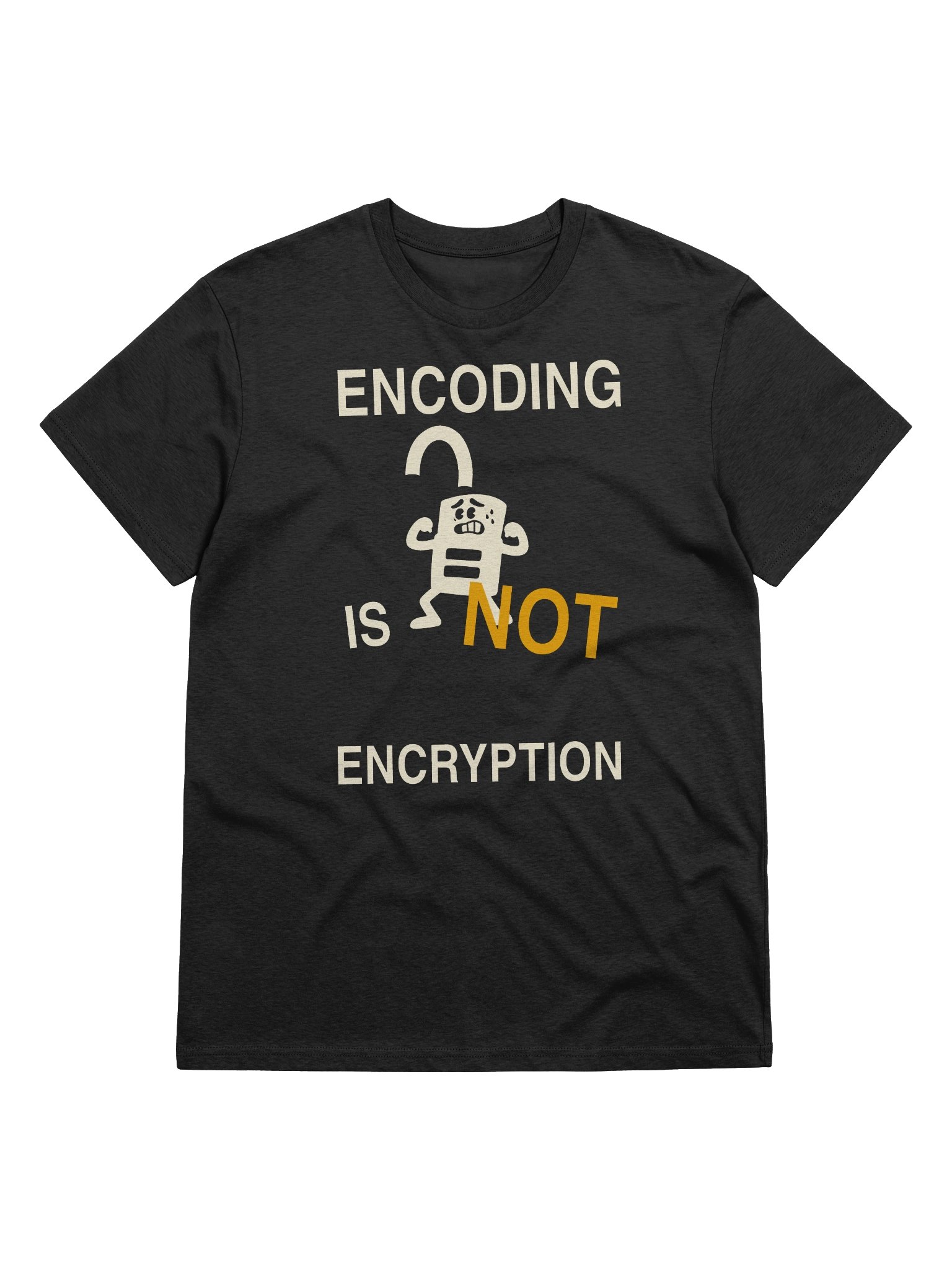 Encoding Is Not Encryption product image (1)