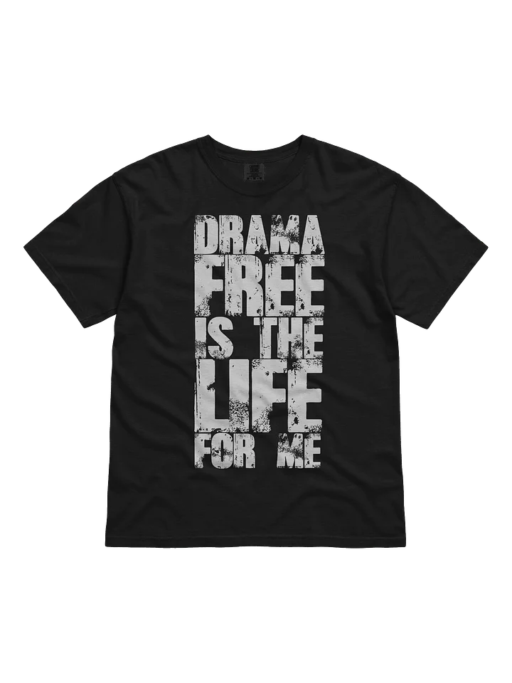 DFITLFM™️ | "Not Fisher Price" | Tee product image (2)