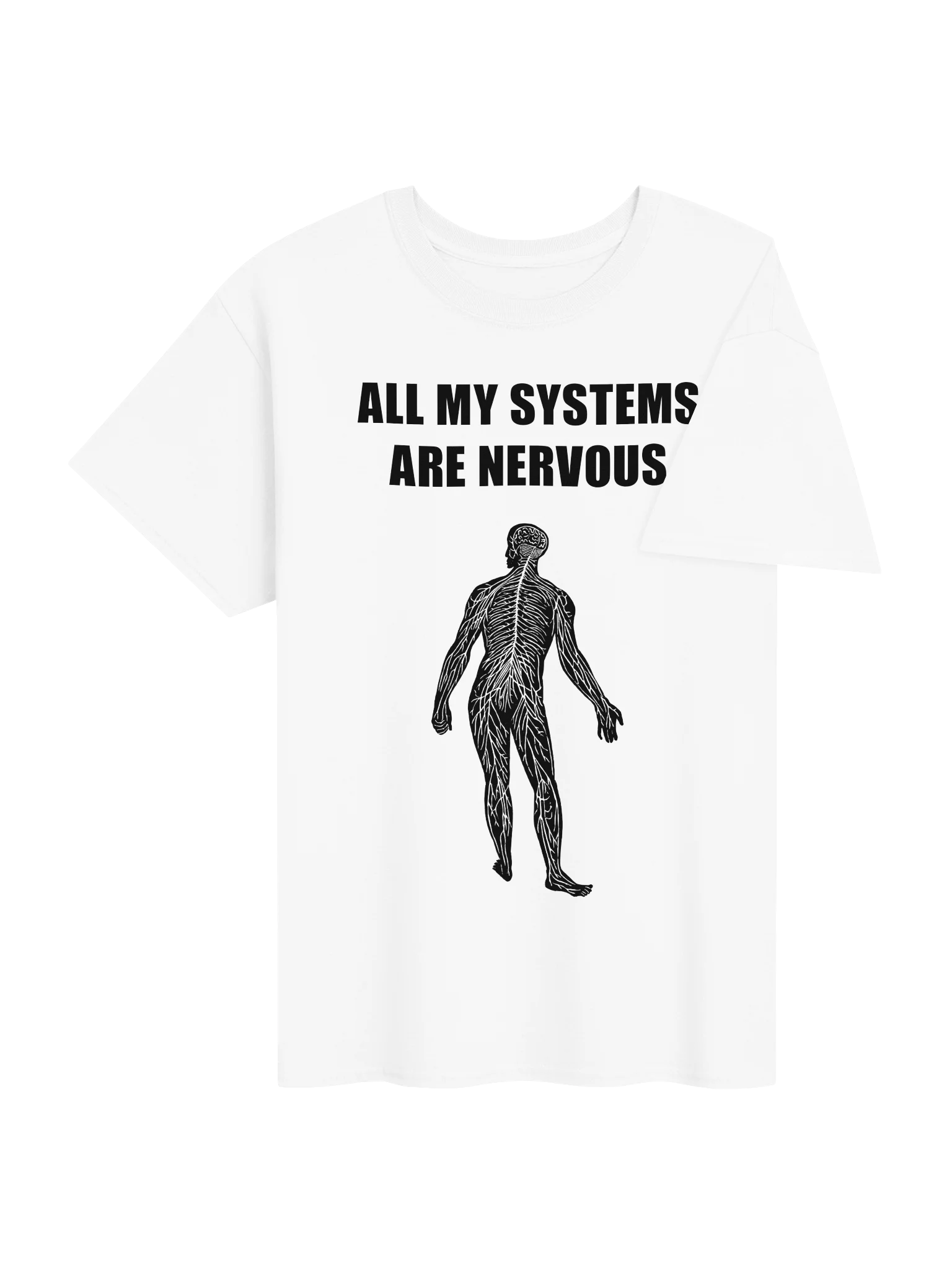 ALL MY SYSTEMS ARE NERVOUS product image (114)