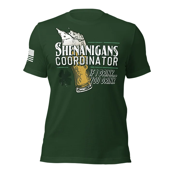 Shenanigans Coordinator product image (1)