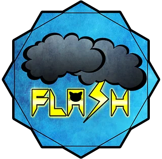 Flash