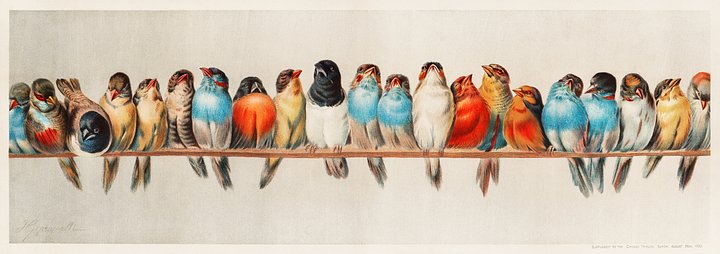 Vintage Art Download - Hector Giacomelli, A Perch of Birds product image (1)