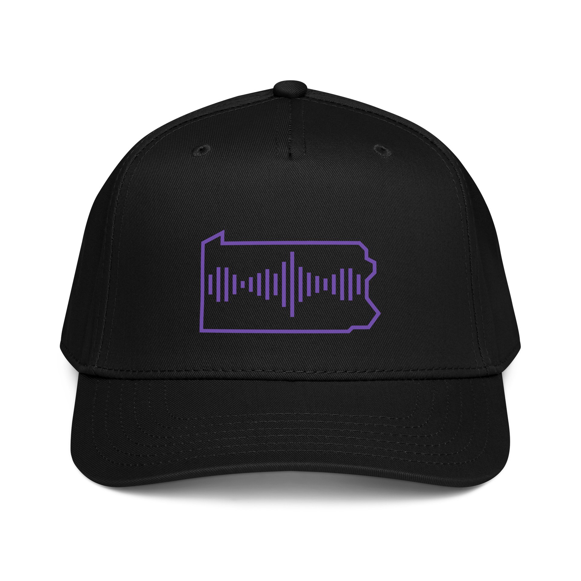 StreamPA Snapback product image (1)