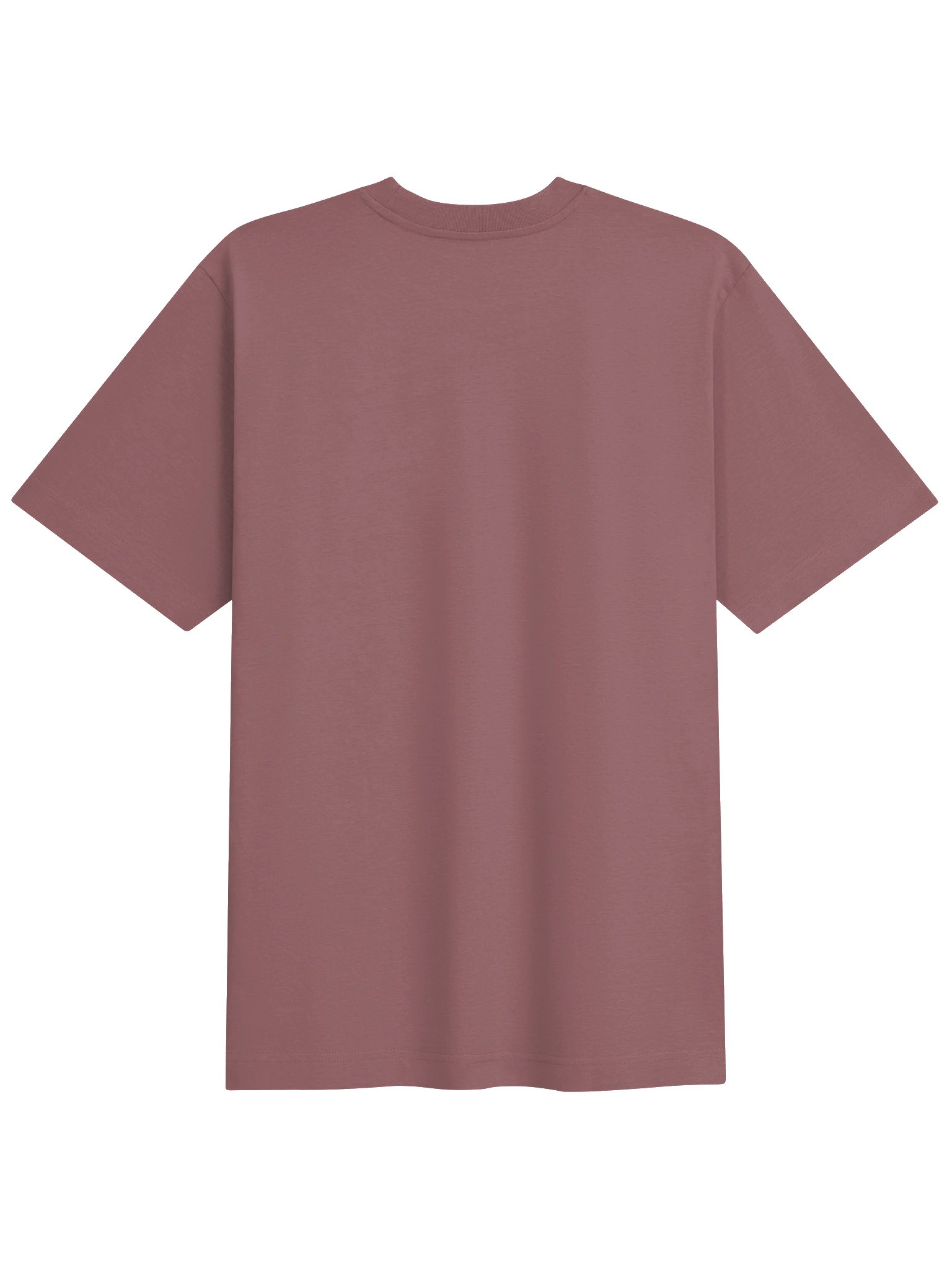 T-Shirt Unisexe Oversize Coton Bio Poids Lourd - ALCHIMISTAE product image (13)