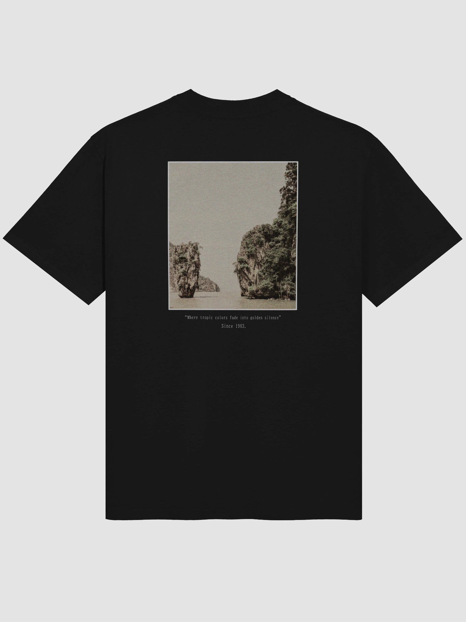 Tropic fade Premium Oversized tee product image (4)