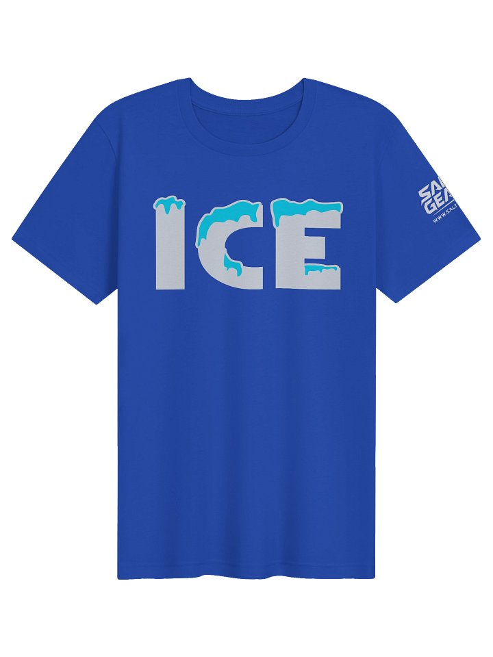 ICE product image (41)