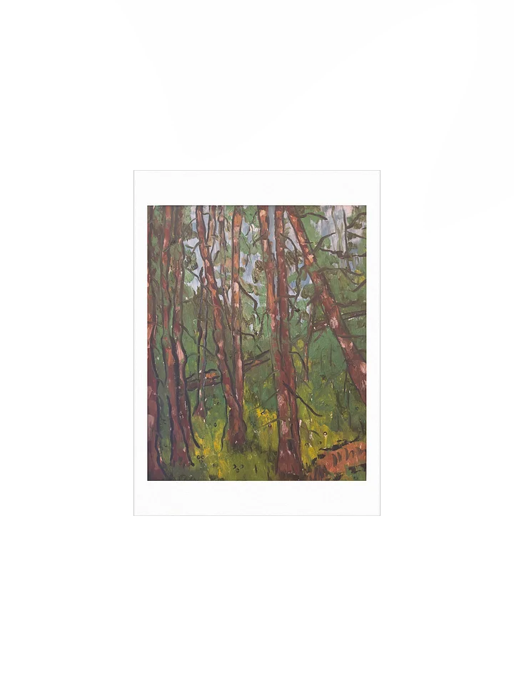 Chambers Lake Print product image (7)