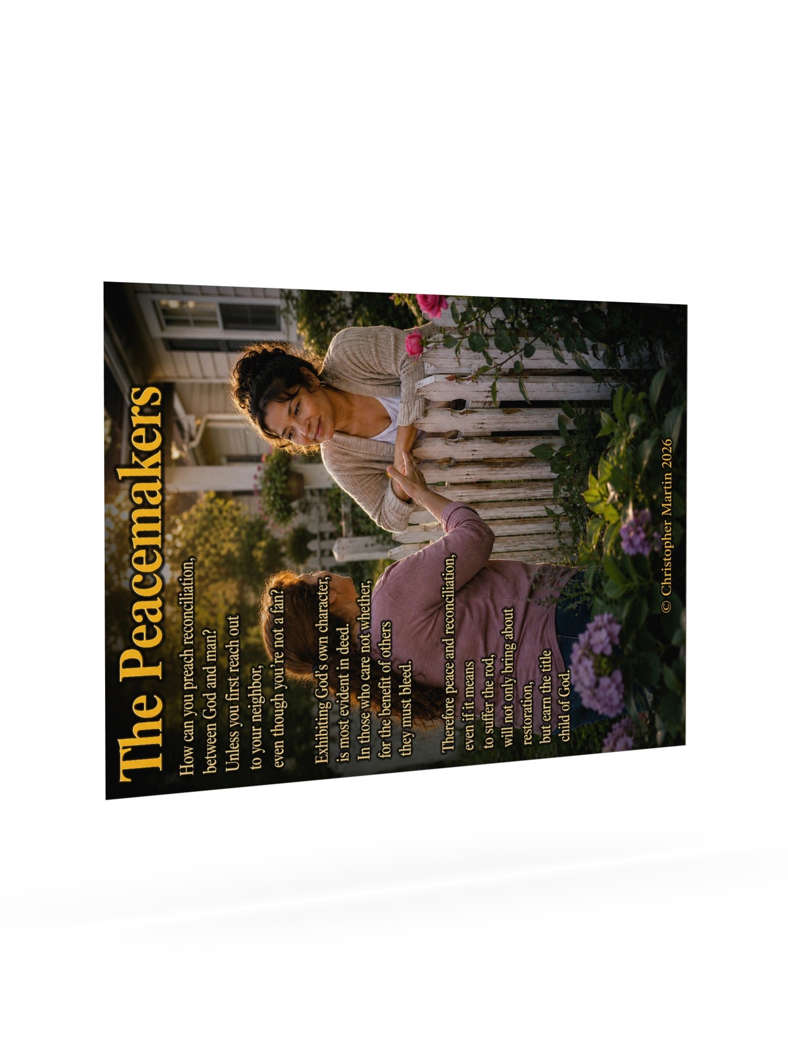 Peacemakers product image (7)