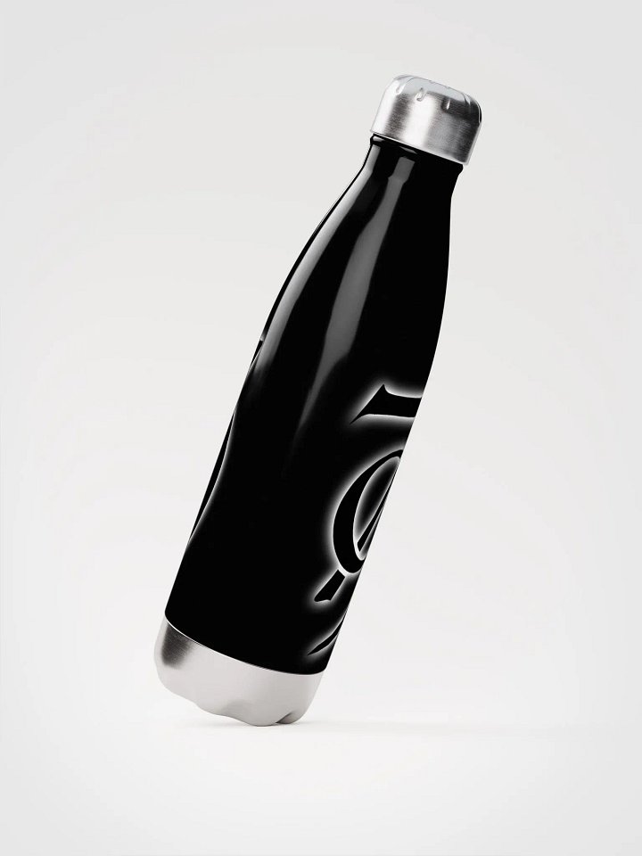 Mirror Image 79 Stainless Steel Bottle product image (2)