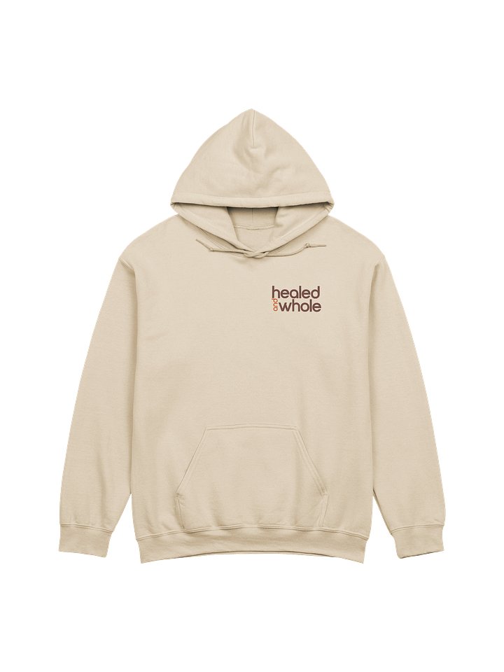 Healed Whole Orange Circles Hoodie product image (1)