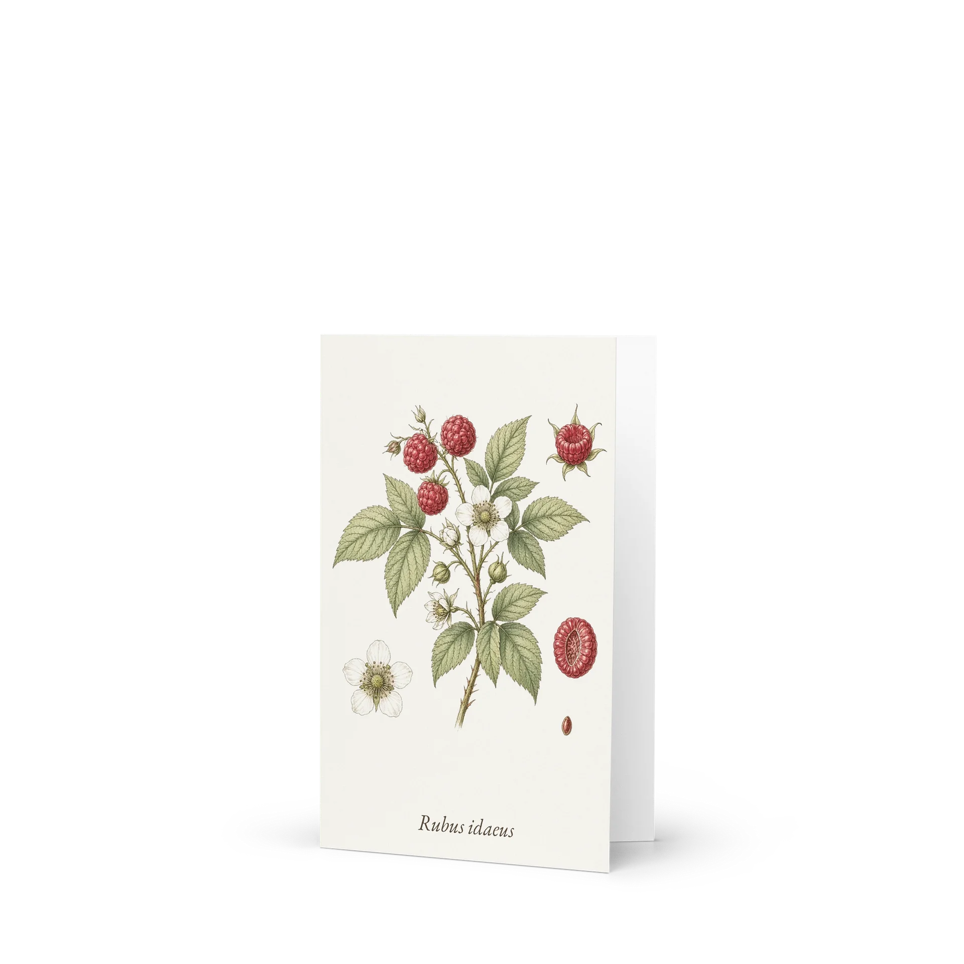 Vintage Botanical Raspberry Greeting Card product image (1)