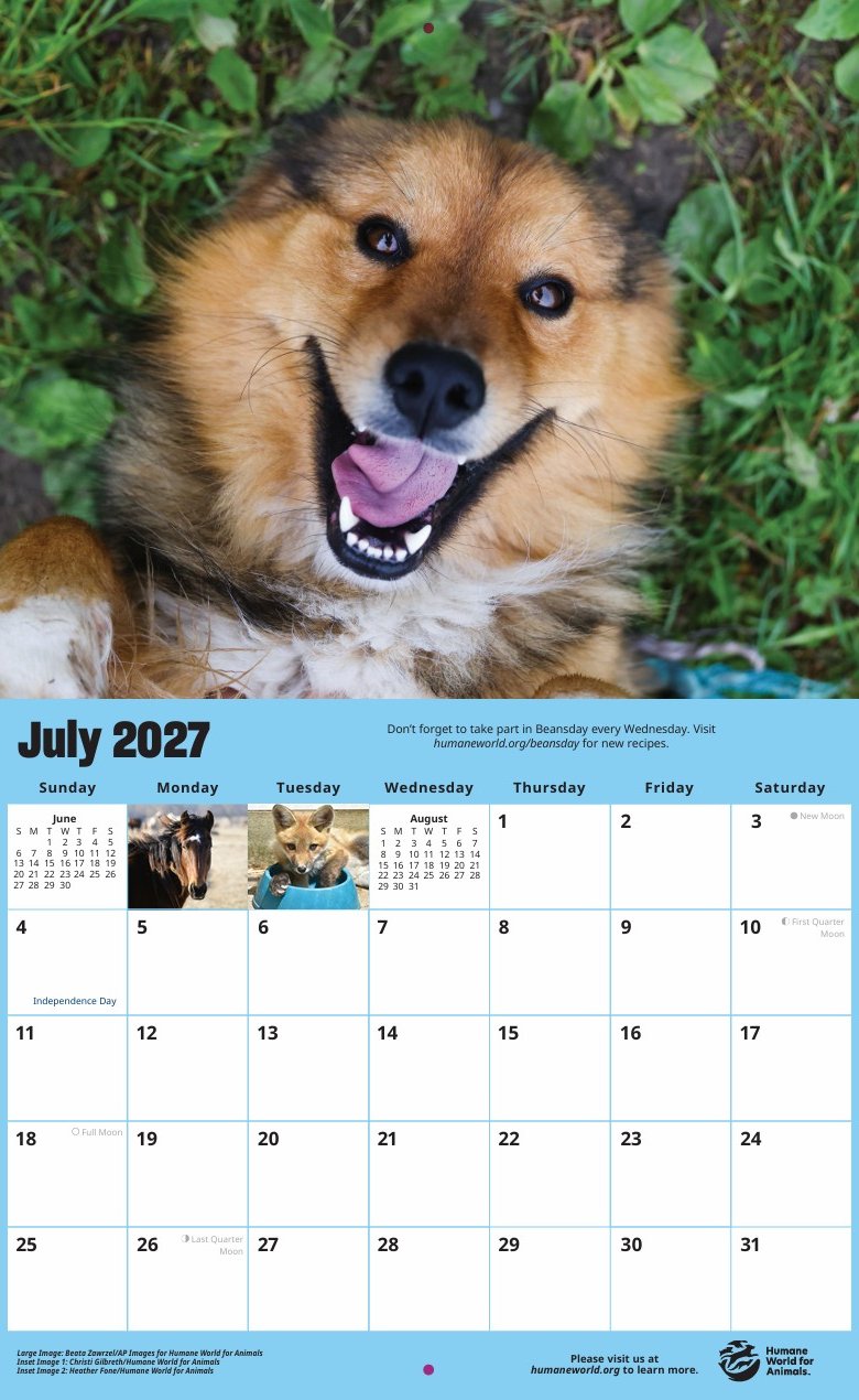 2027 Animal Lover's Wall Calendar product image (5)