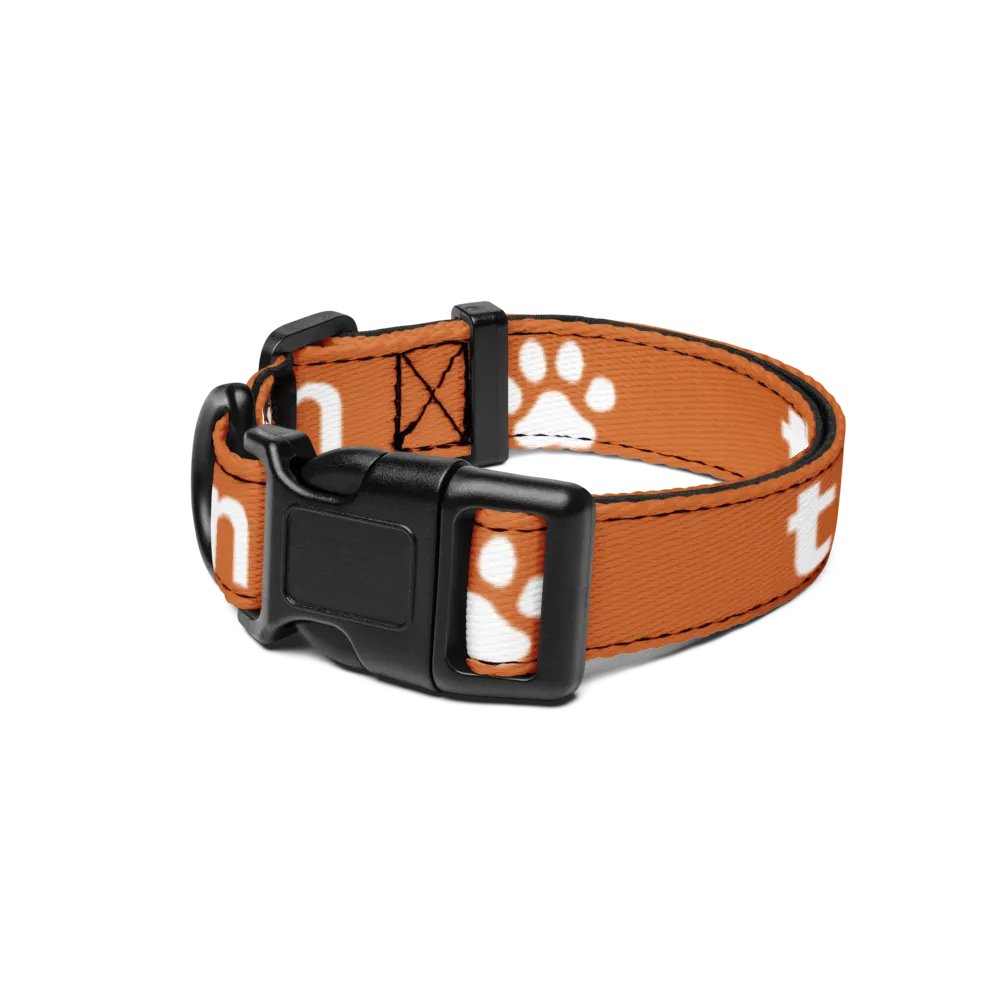 BEST FRIEND PET COLLAR product image (1)