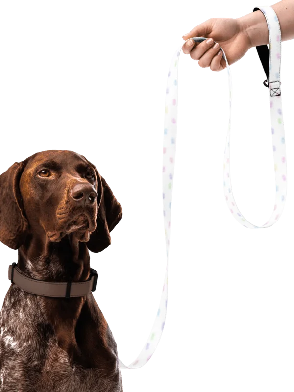 Walk by Faith Christian Dog Leash – Pastel Ichthys Fish Pet Leash product image (1)