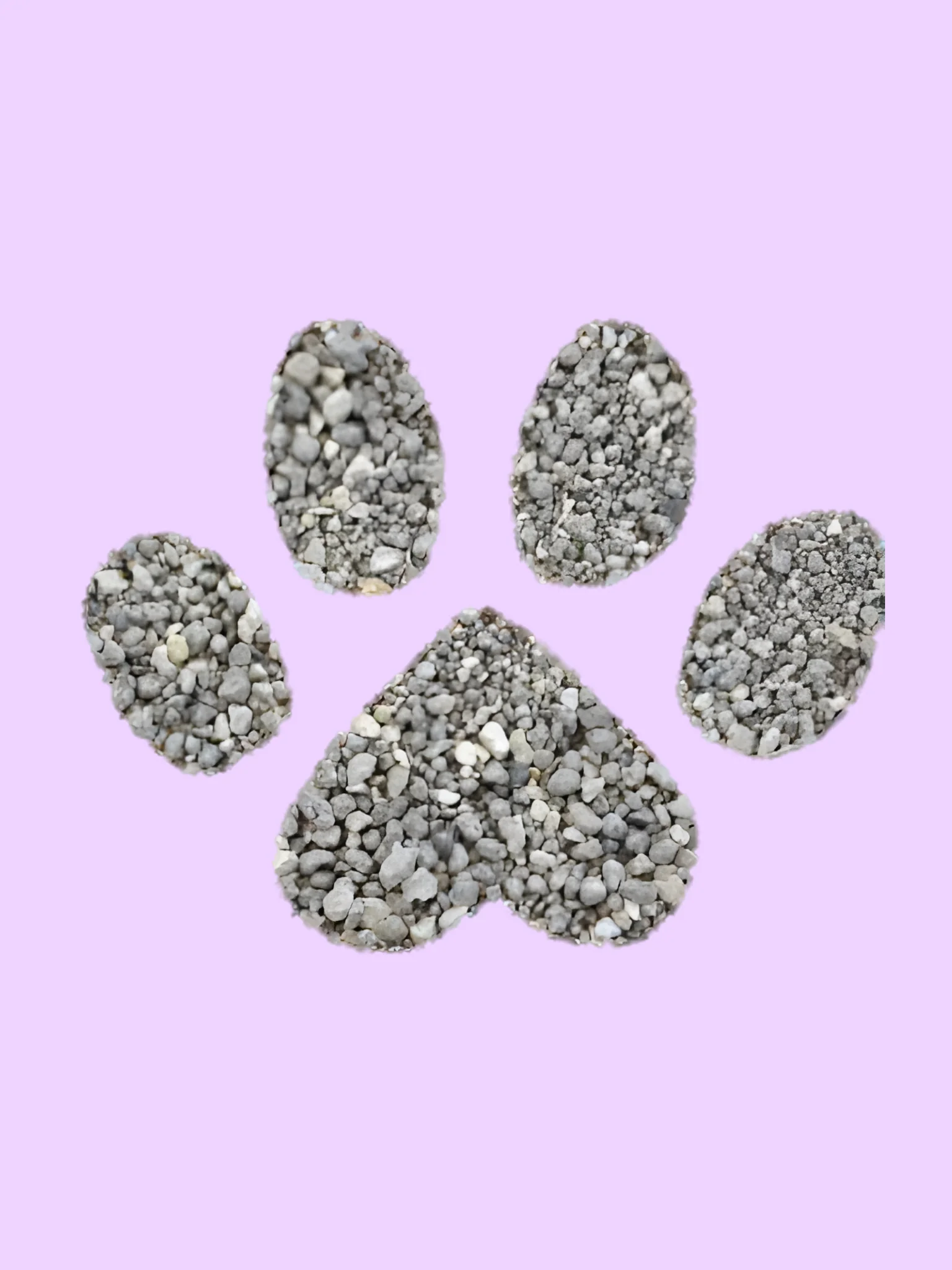 Unscented Clumping Clay Cat Litter product image (1)