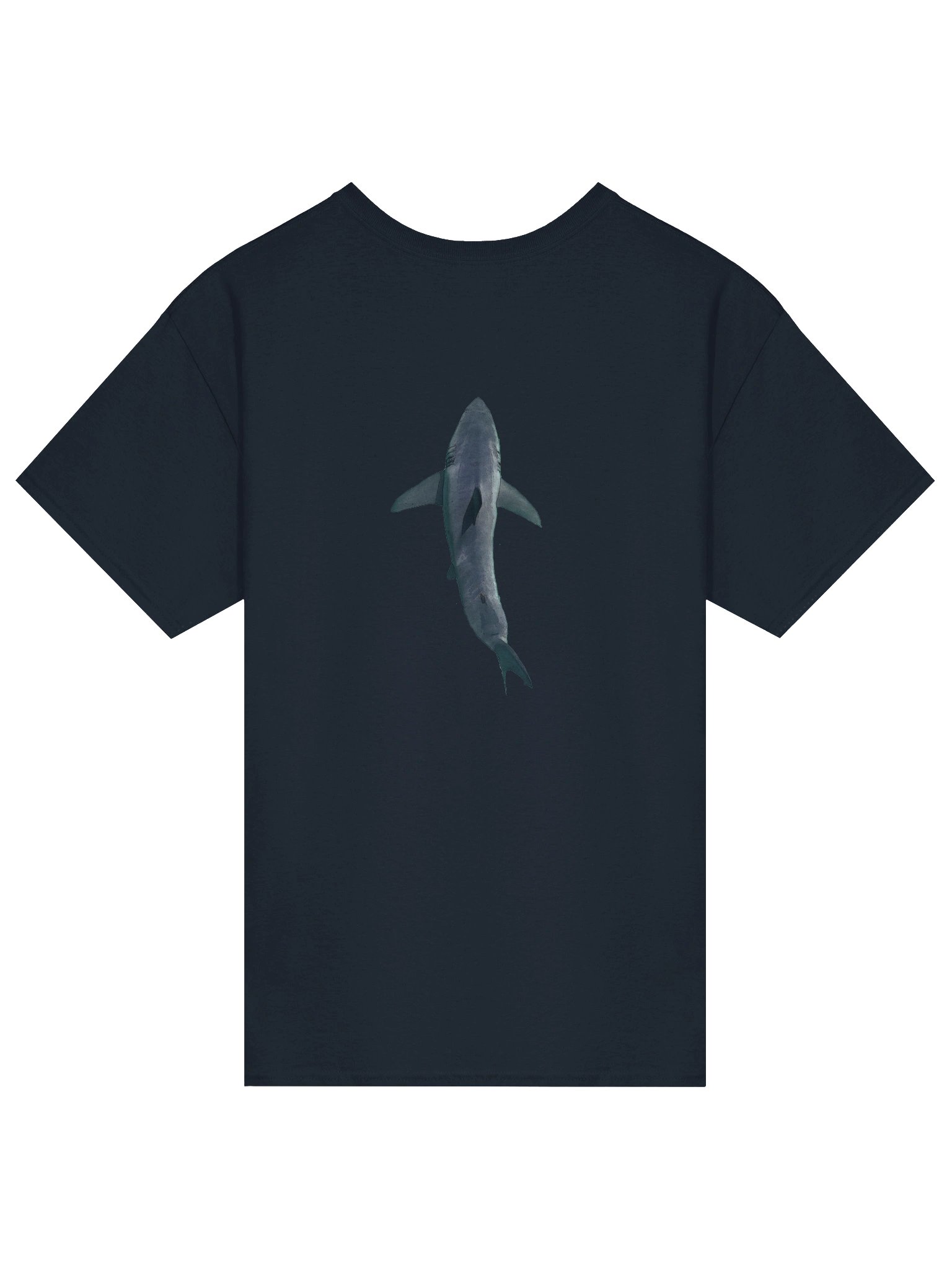 Carcharodon carcharias product image (2)