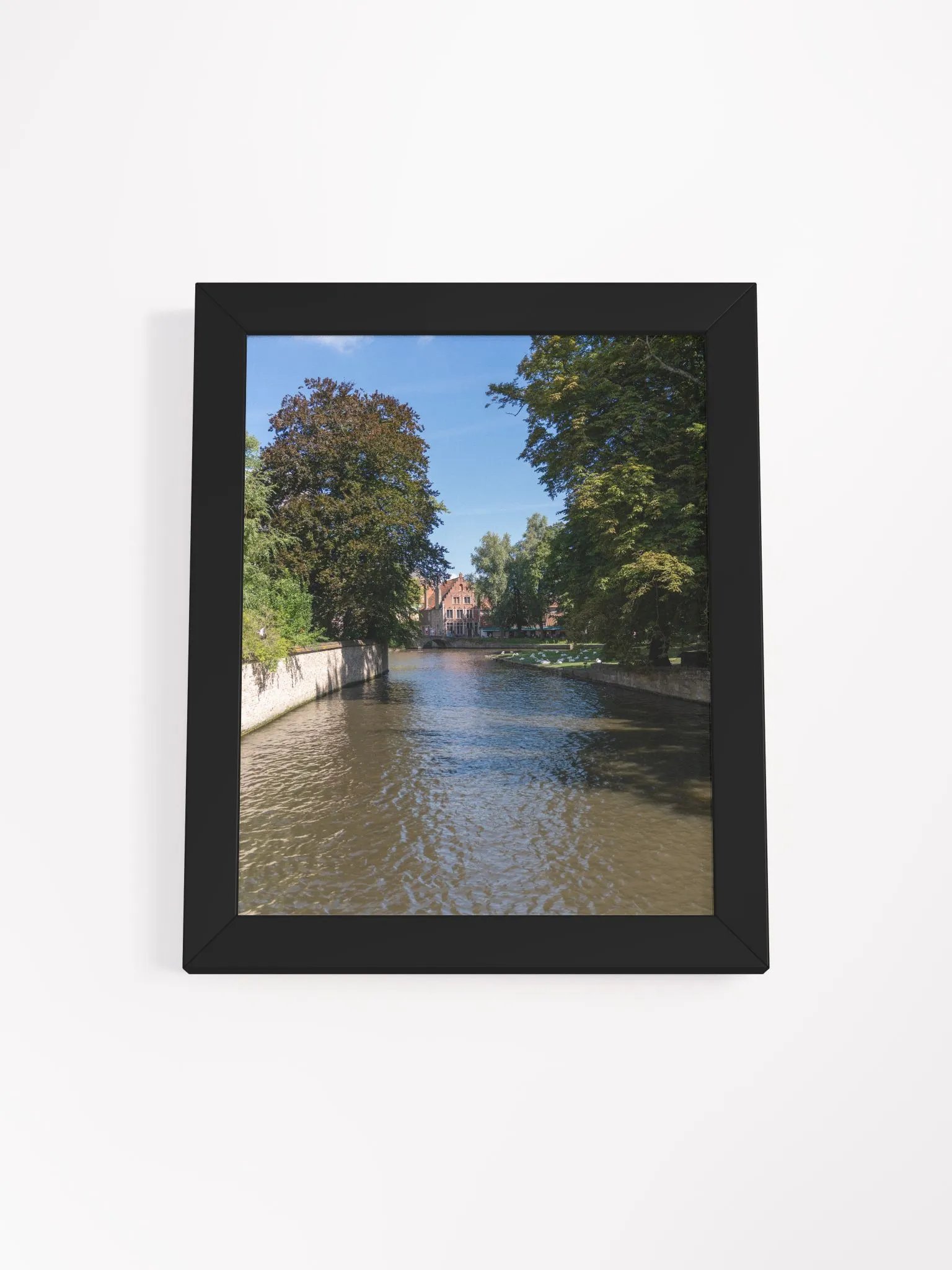 Nature with beautiful canal product image (1)