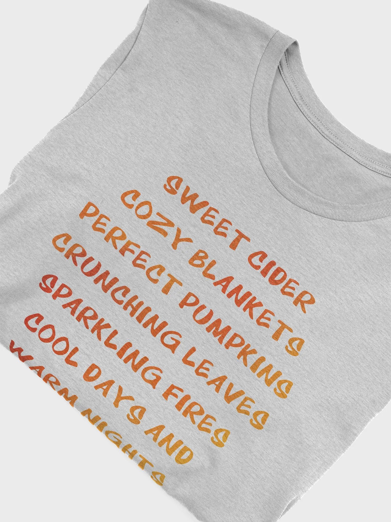 🍂 Fall Lover's Cozy T-Shirt | Sweet Cider, Cozy Blankets, and Crunching Leaves Shirt | Autumn Quote Shirt product image (41)