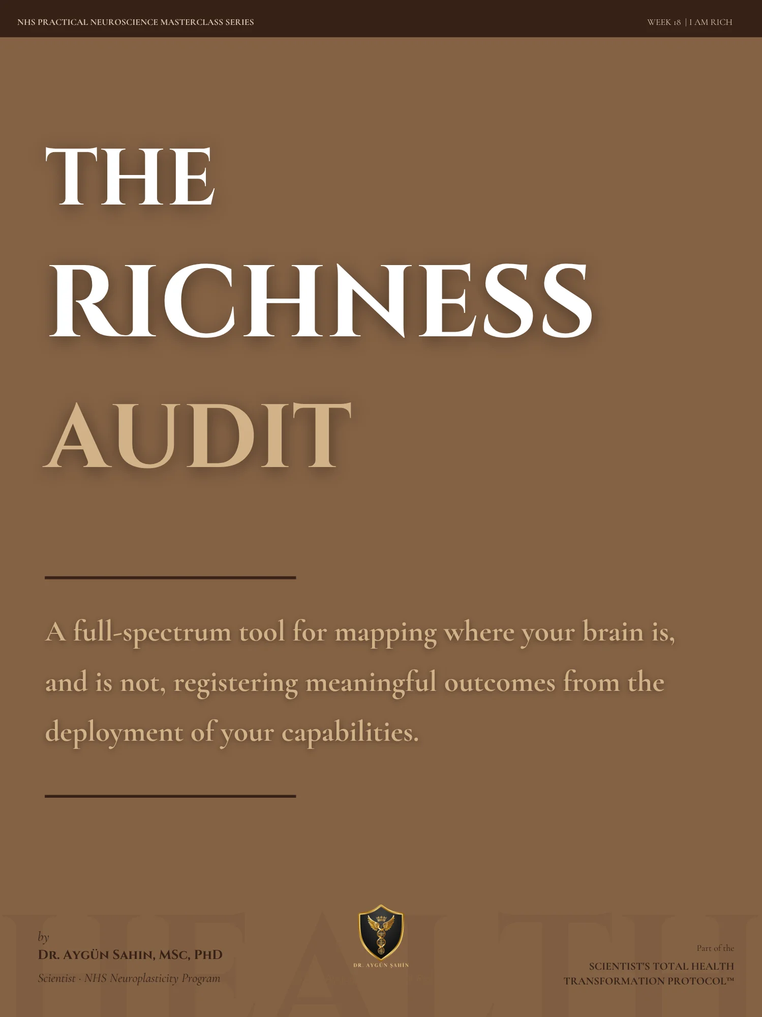 THE RICHNESS AUDIT product image (1)