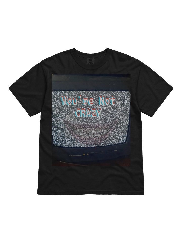 You're Not Crazy product image (1)
