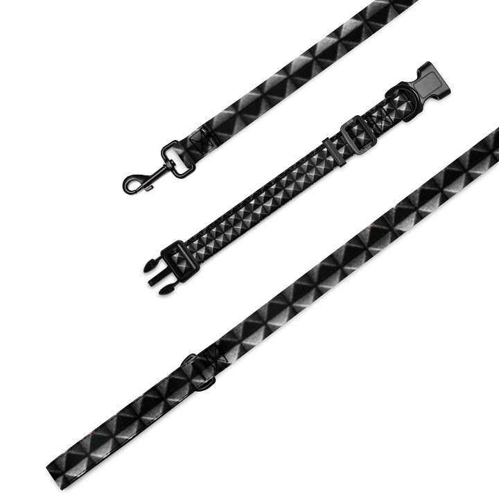 Studs of a God Pet Collar & Leash Set product image (1)