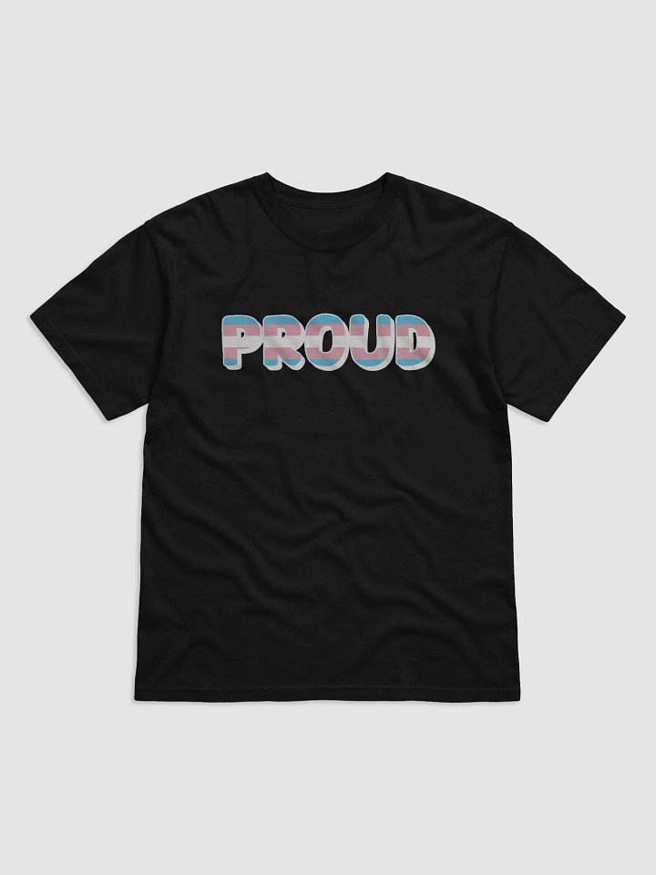 The 'PROUD trans' T-Shirt - Black product image (1)