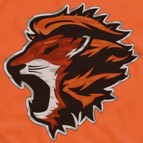 Orange Cats