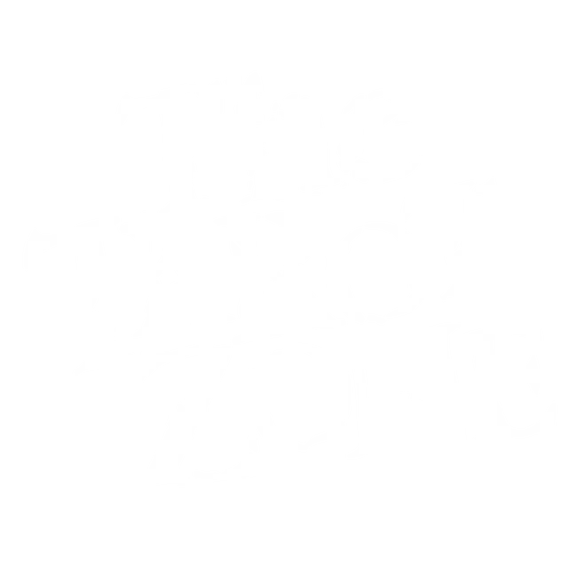 The Tarot Zone