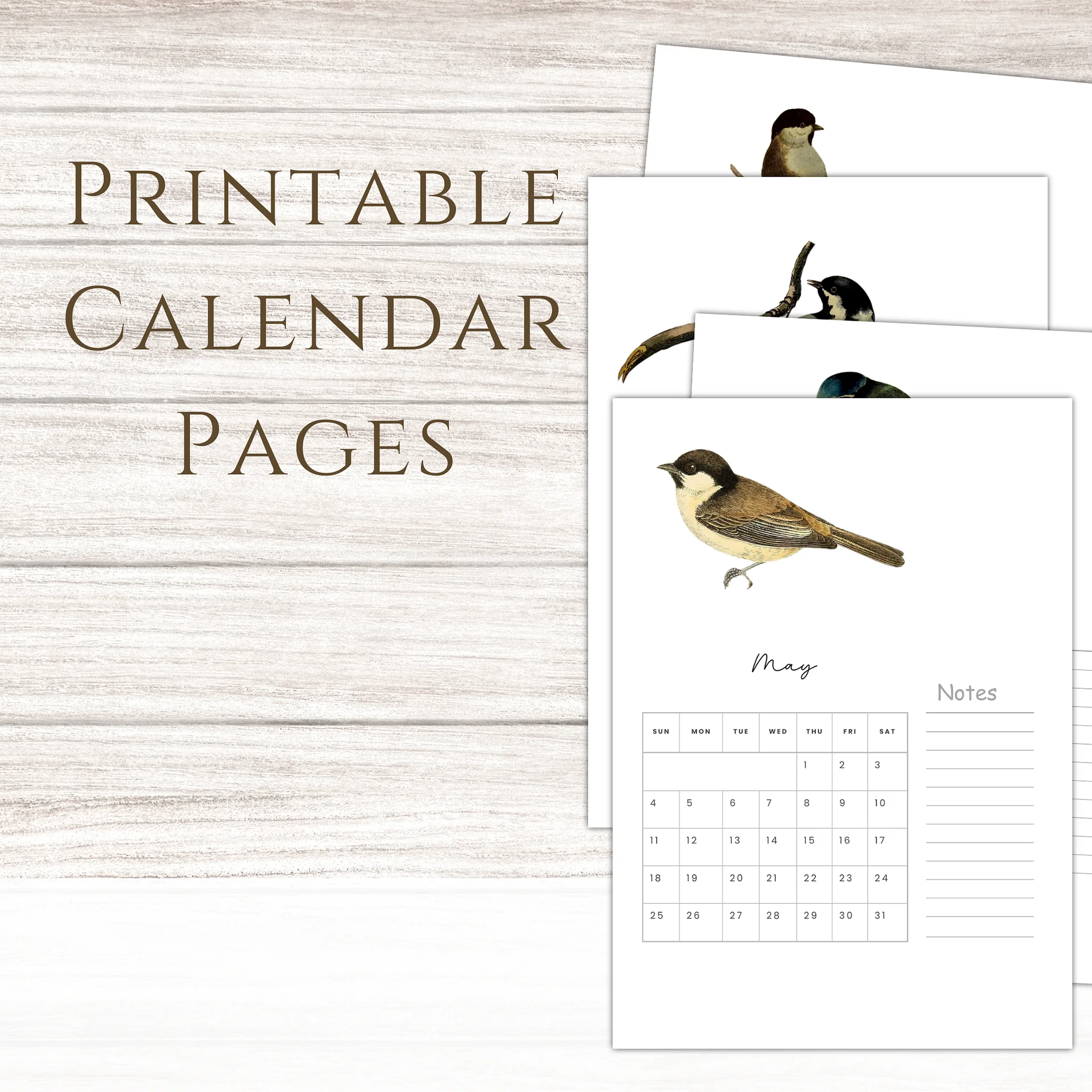 2025-2026 PDF Calendar: American Birds product image (1)