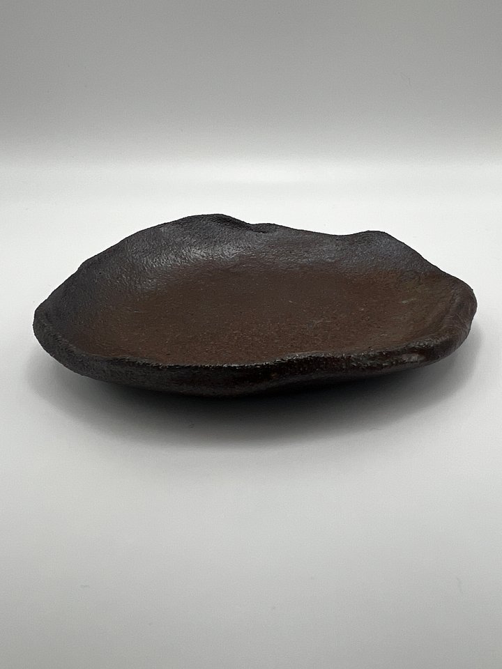 Just A Plain Brown Plate product image (2)