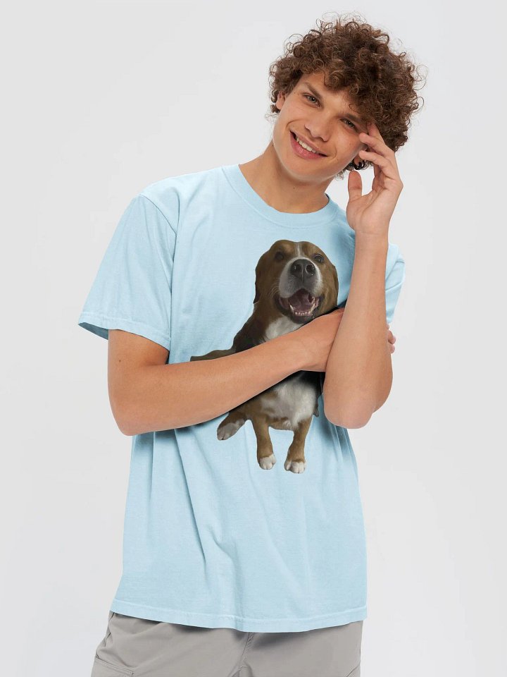Happy Leo Fan T-Shirt product image (17)