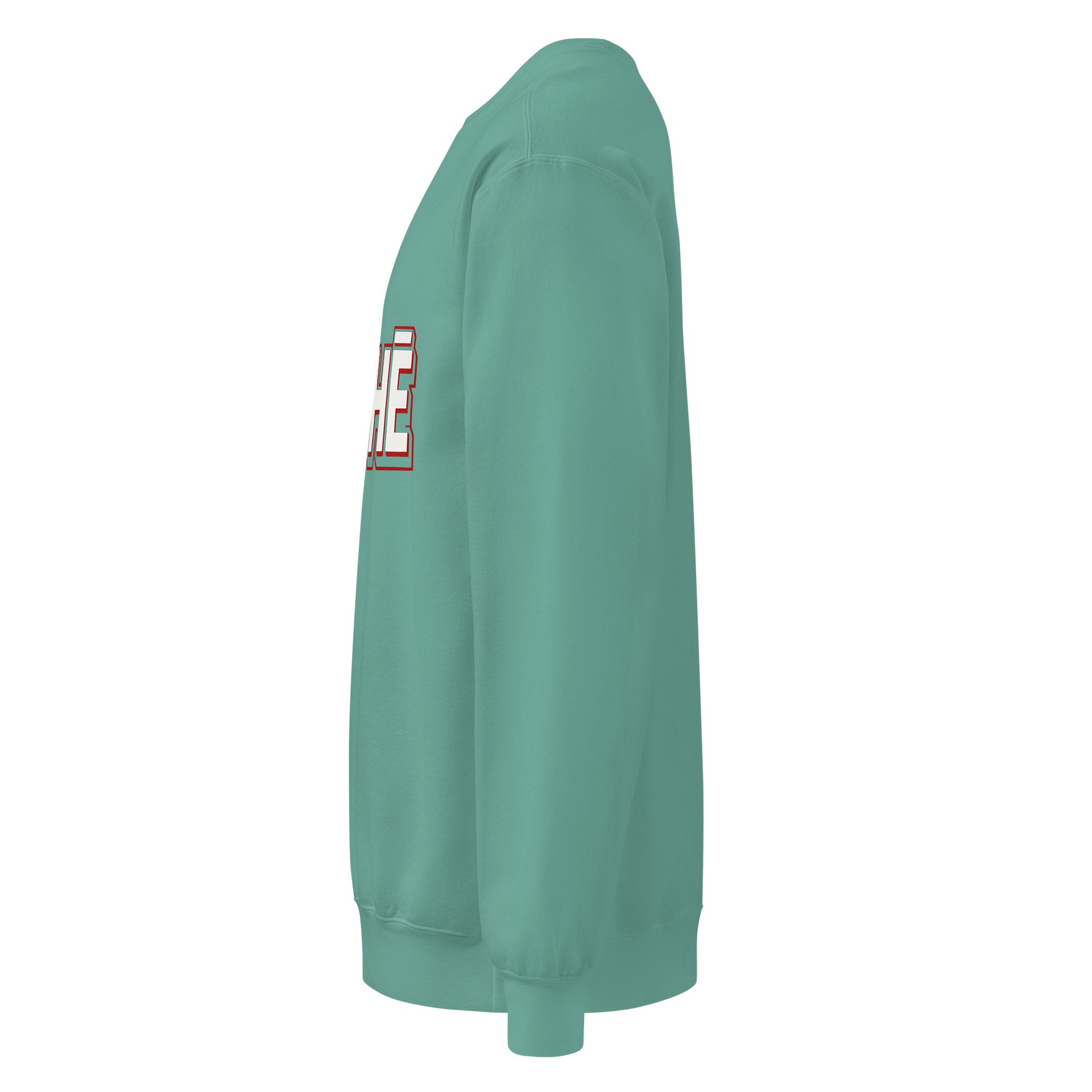 Vintage Comfort: Garment-Dyed Unisex Sweatshirt product image (43)