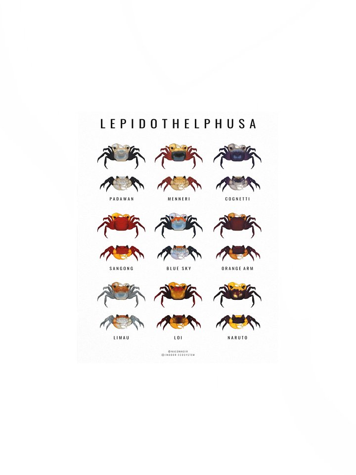LEPIDOTHELPHUSA BORNEO CRAB POSTER (WHITE) product image (1)