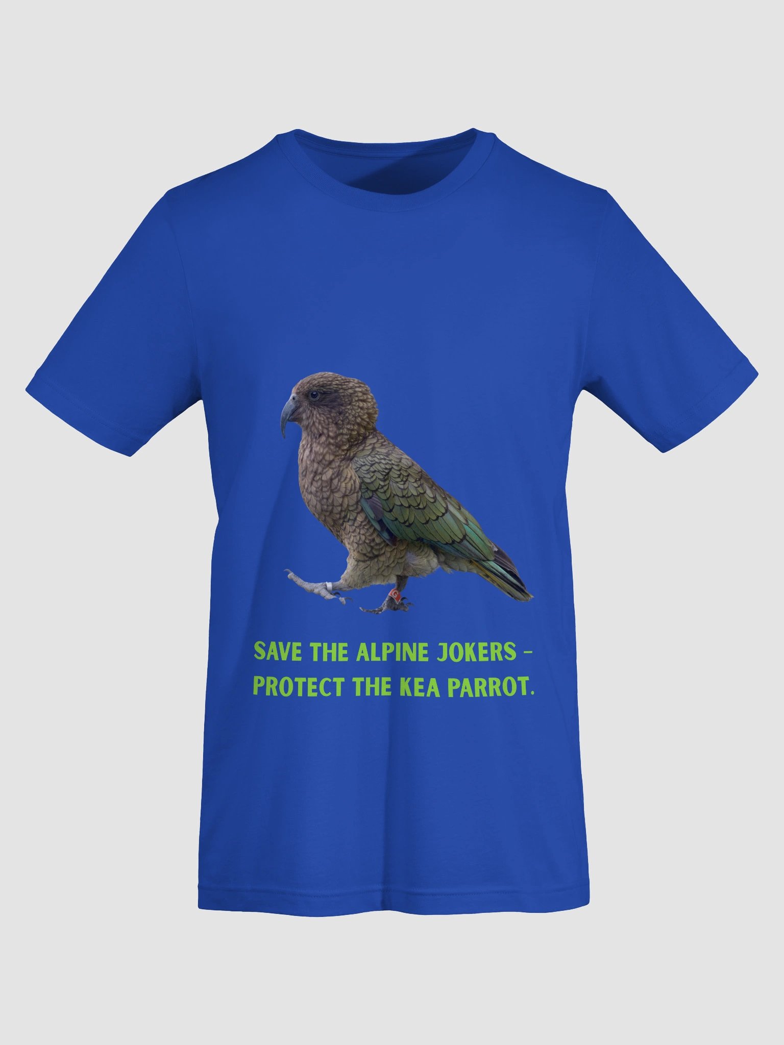 New Zealand Parrot product image (3)