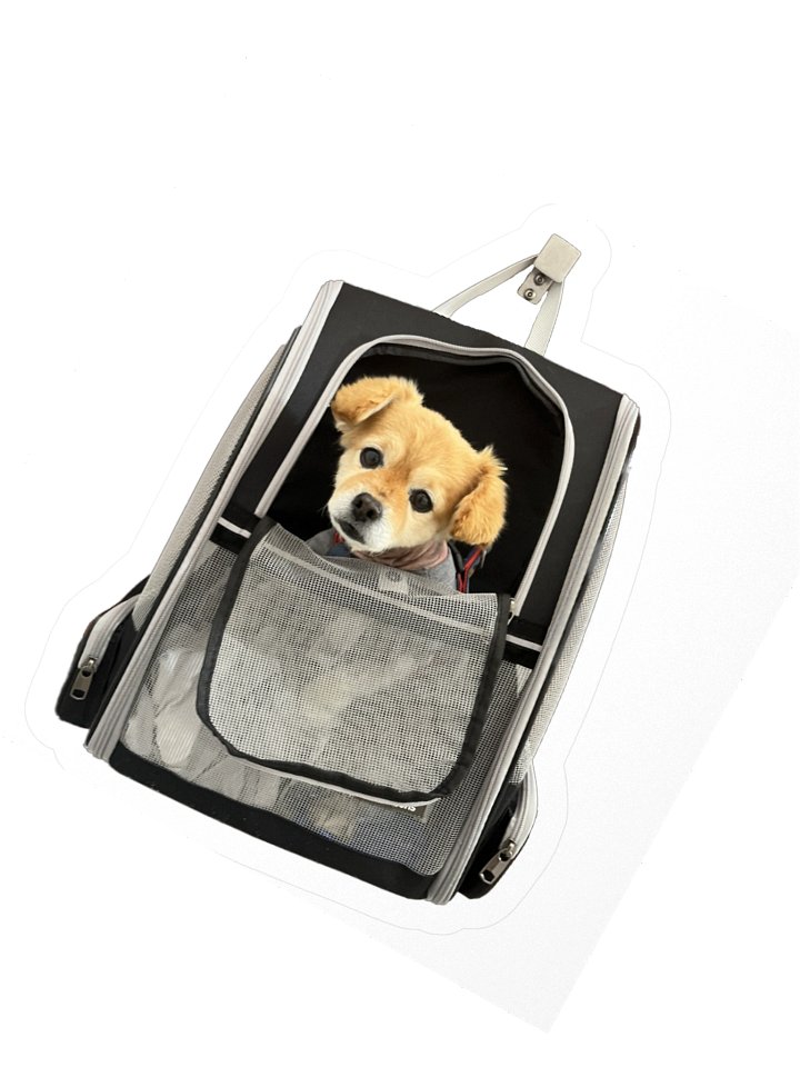 Carry Way Onward Son product image (6)