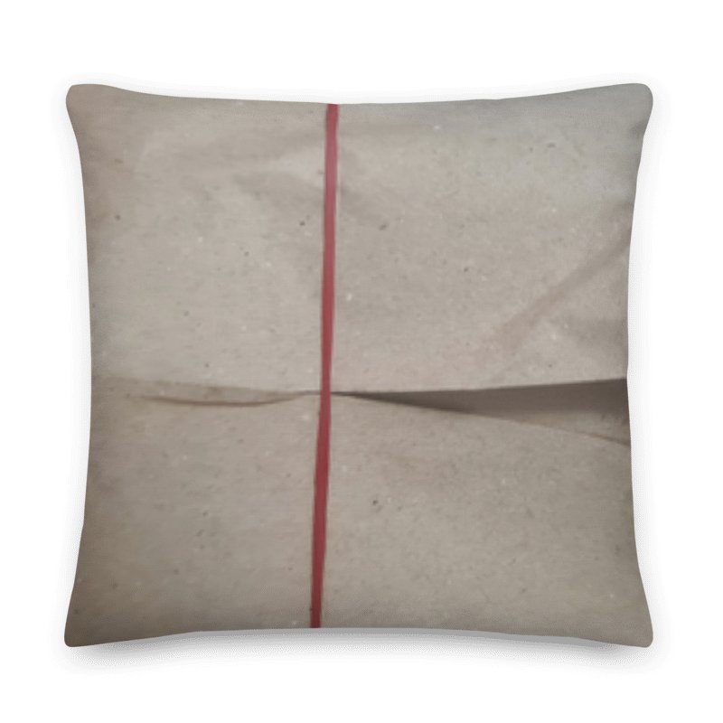 Char Siew Rice Decorative Pillow product image (8)