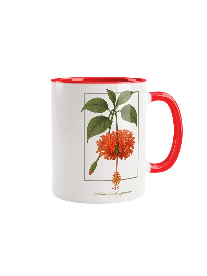 Hibiscus schizopetalus Flower - mug product image (2)