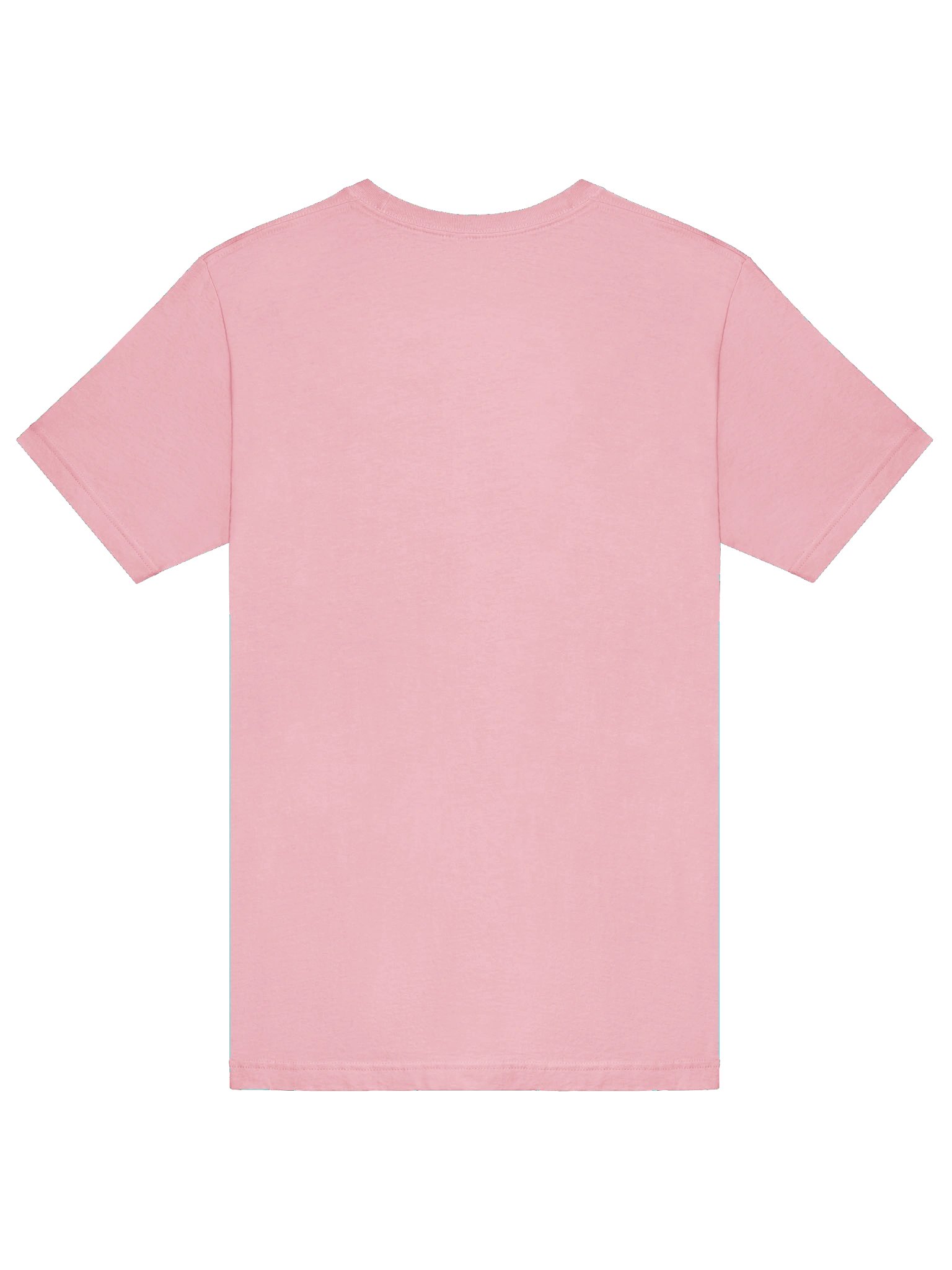 Rain's Pride & Joy T-Shirt product image (6)