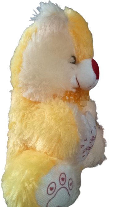 Teddy Bear product image (5)
